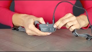 cold air spray bark collar