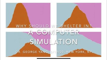 Why Should We Shelter In: A Computer Simulation?