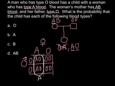 Blood Type Genetics Explained 