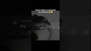 THESE TIKTOK COMMENTS ARE WILD BRO✌️😭