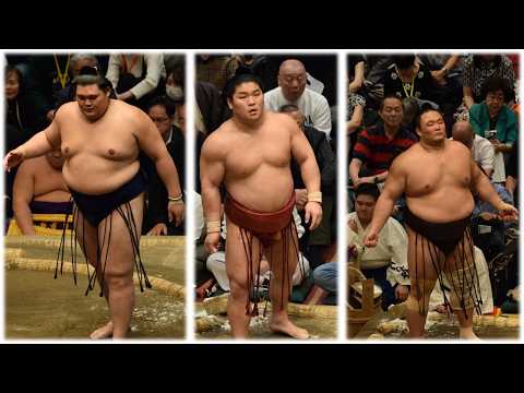 Aonishiki reunites with parents + how Paris Sumo SHOULD have broken internet (Sumo News, Jun 20th)