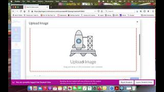 Submitting screenshots to Canvas in textbox entry