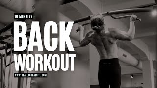 Gym Girl Workout In The Gym