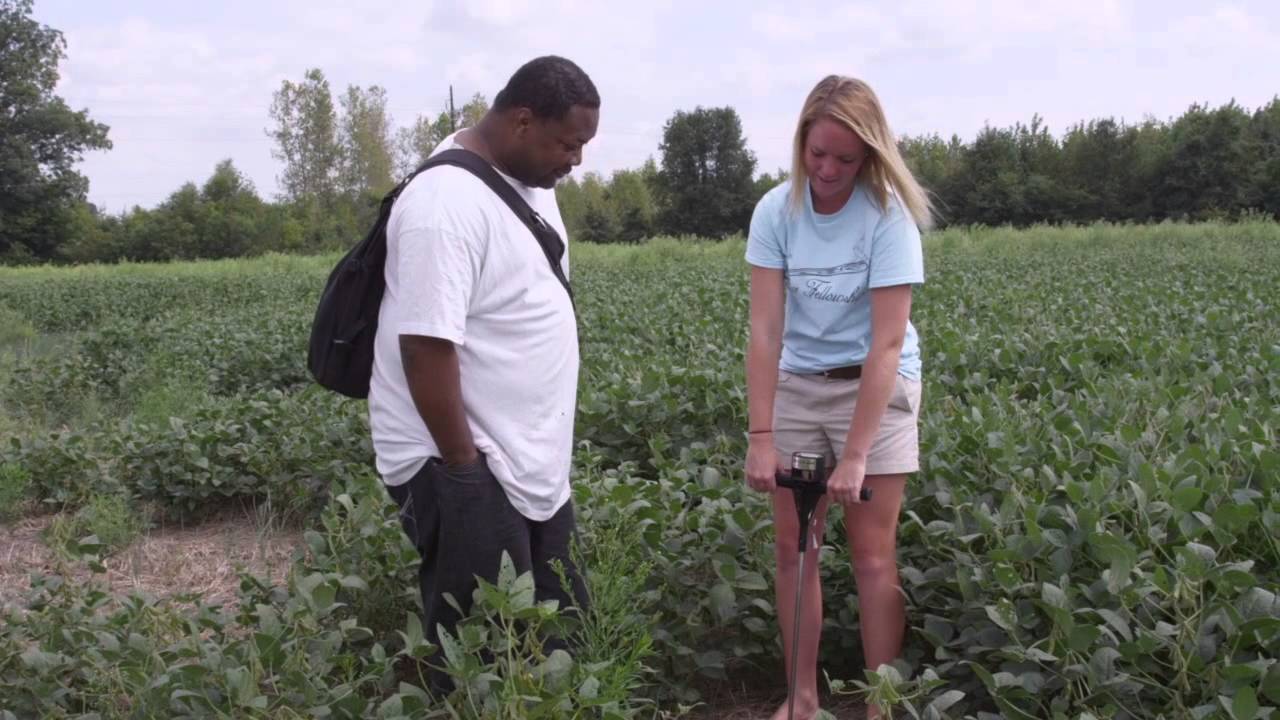 Why Henderson Community College YouTube why-henderson-community-college-youtube