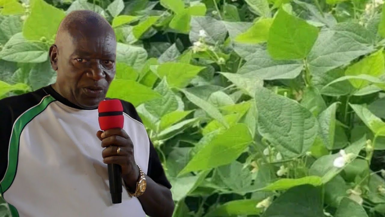 UBWENGE n'UBUMENYI BWA #GATABAZI BIKWIYE GUSANGIZWA ABARUNDI BOSE MUBIJANYE NO KUGWIZA UBUTUNZI