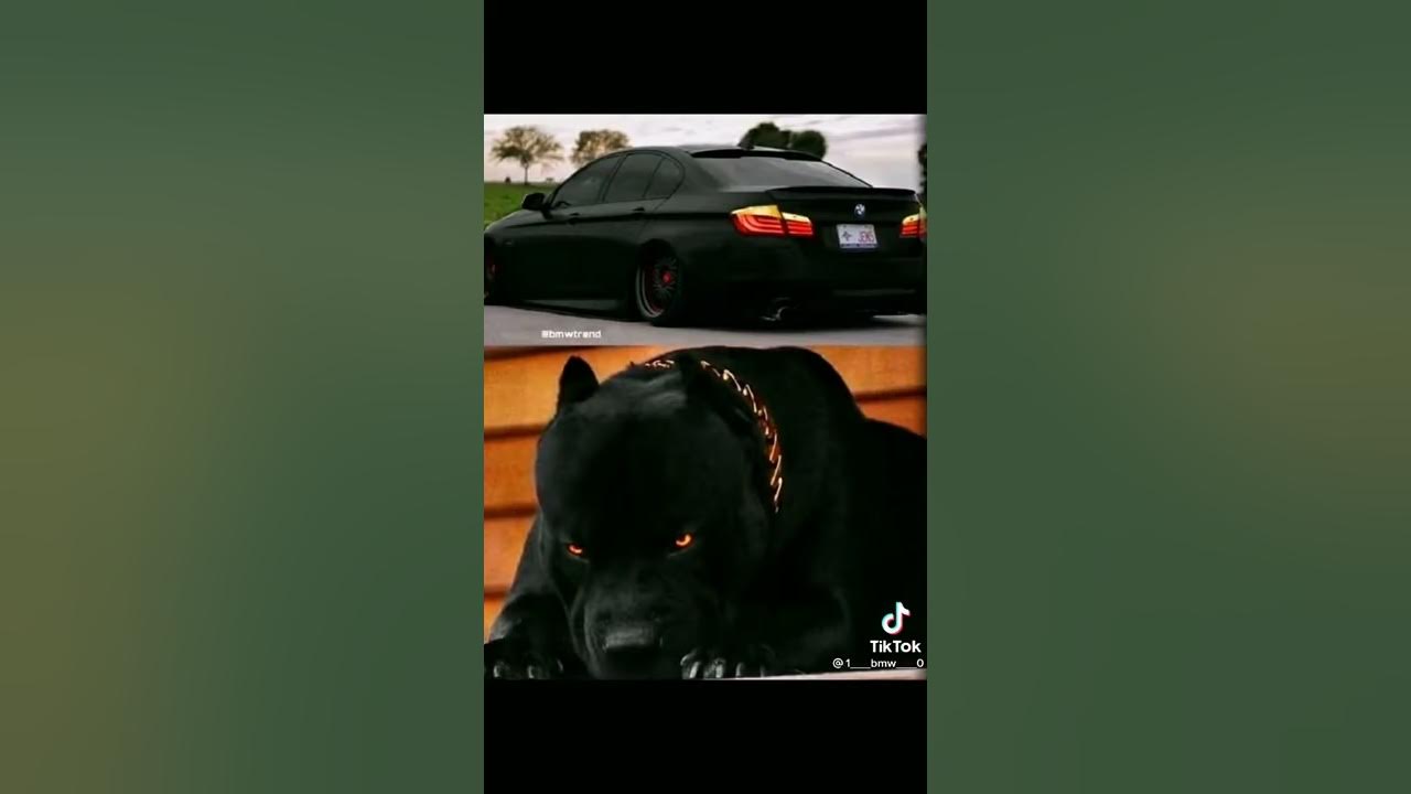 Бемвы - YouTube