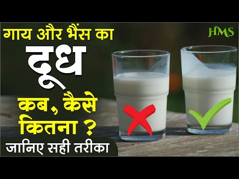 दूध पीने से पहले, इसके जरूरी नियम जान लें, दूध हो सकता है खतरनाक | How and When to Drink Milk