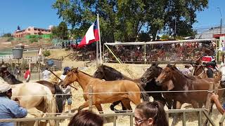 Trilla 2018 LAJA 1080P 60Fps