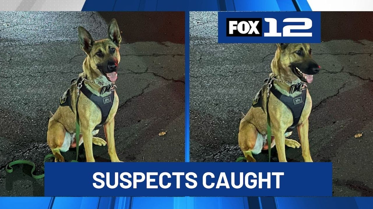 Teen, juveniles arrested after car break-ins, chase and crash in Washington County