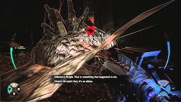 Evolve beta Markov tutorial