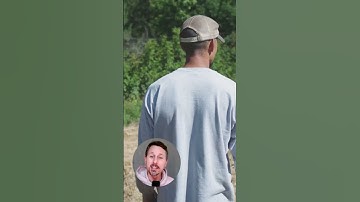 Top 5 Reasons Why Cover Crops are Revolutionizing Farming