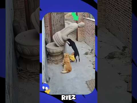 فعل شيء غريب و مرع ب جدا سحر قصص السعودية تحدي العاب رعب نص الليل 