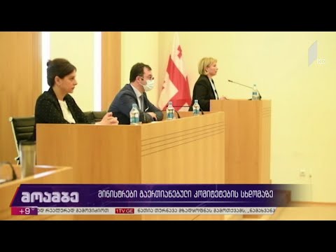 მინისტრები გაერთიანებული კომიტეტების სხდომაზე
