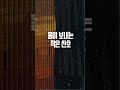 🍎 행복은 몸이 보내는 작은 신호를 듣는 것이다