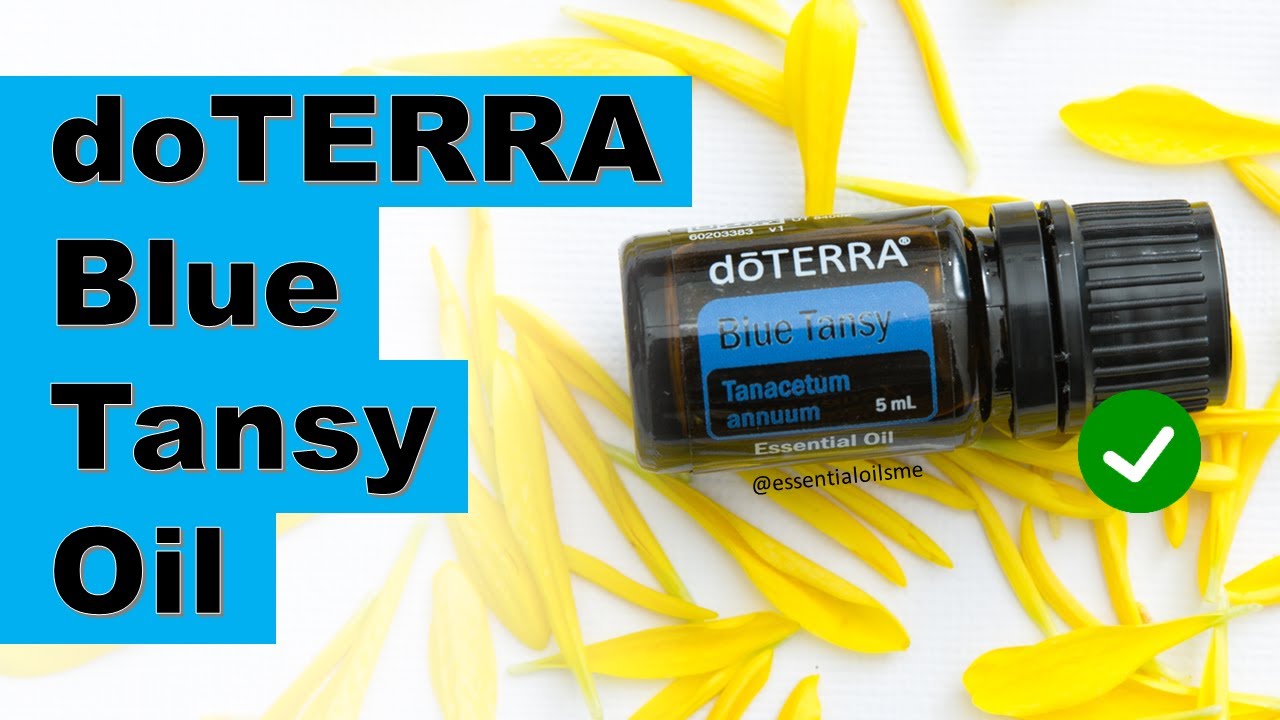 doTERRA Blue Tansy Essential Oil Benefits and Uses - YouTube
