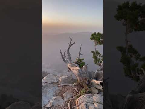 من أعلى قمة الجبل الأخضر علعلان