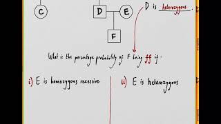 BMAT 2009 Section 2 - Q01 Bio - Inheritance diagram - Worked Solution