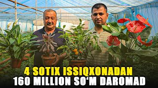 4 sotix issiqxonadan 160 million soʻm daromad