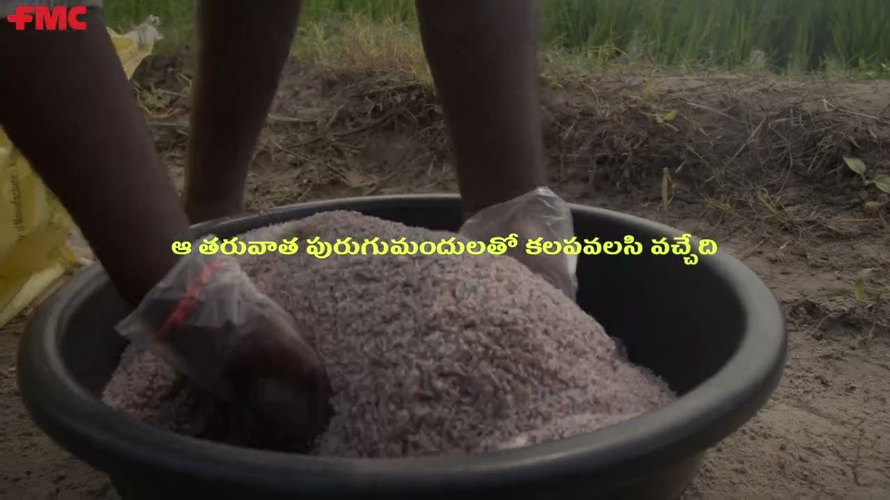 FMC India | Get Ready for a Groundbreaking Solution for Stem Borer Control in Rice ✨ 
