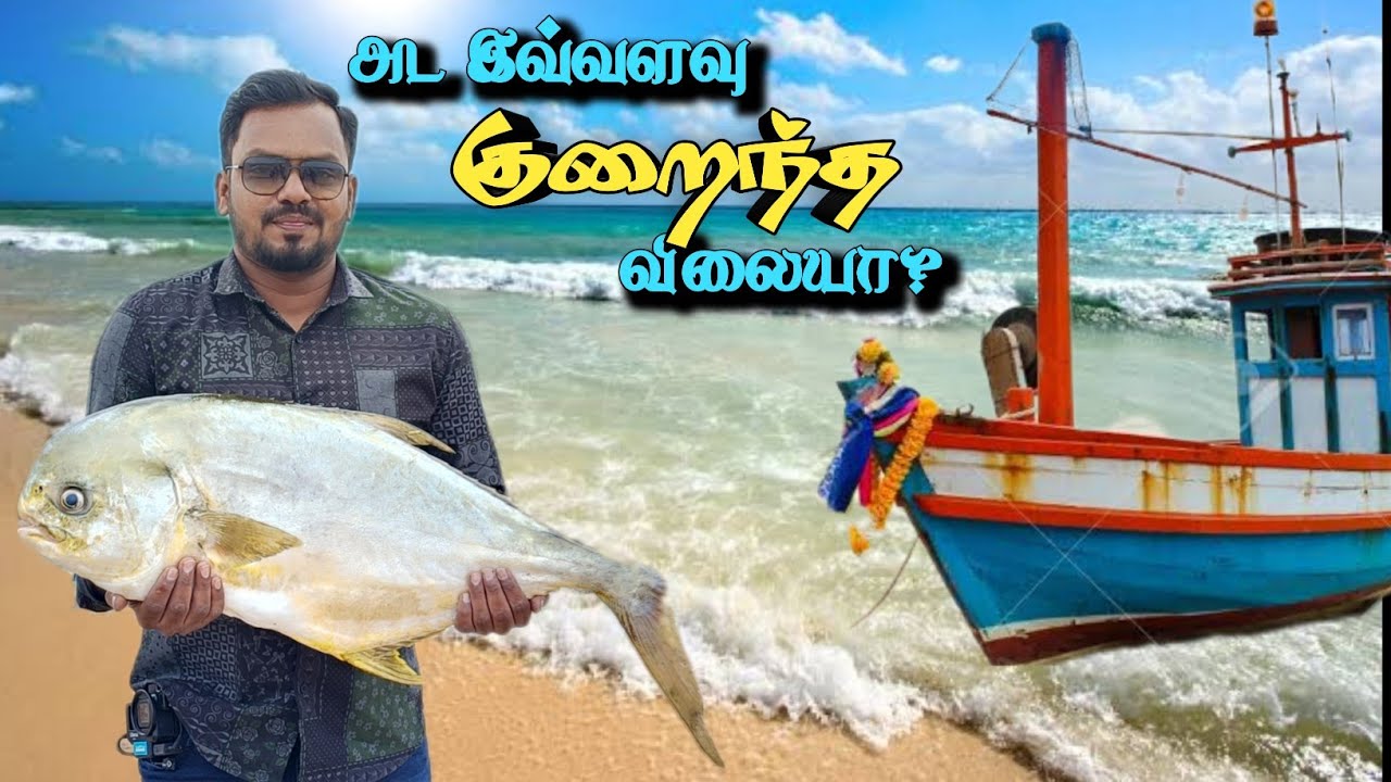 எதுக்காக இங்கு மீன் வாங்க வேண்டும்? | Kovalam Fish Market | Kovalam Beach | ECR | Vlog