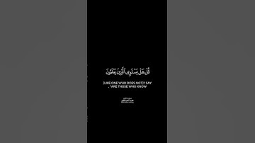 أمن هو قانت آناء الليل شاشة سوداء | كرومات قرآن كريم بصوت #ماهر_المعيقلي | #سورة_الزمر