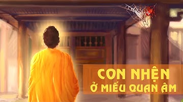 Con nhện ở miếu Quan Âm   Phật học và cuộc sống