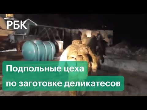 Крабы-нелегалы — спецоперация ФСБ в Приморье: видео