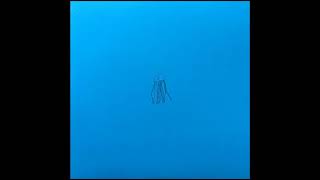 Eversines - Companionship - Companionship EP - [NOUSWS4] - 2021
