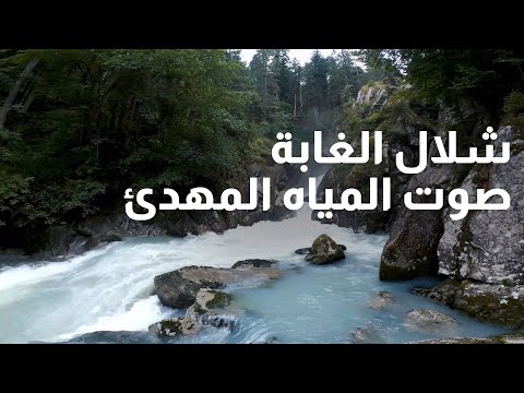 شلال الغابة صوت المياه المهدئ بدون موسيقى
