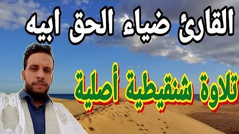 القارئ ضياء الحق ابيه الشنقيطي