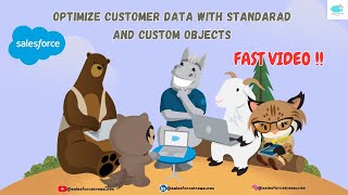 Data Modeling 🏢| Optimize Customer Data With Standard And Custom Objects 🌐| Fast Video 📸| #trailhead