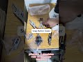 Snap Button Tester #science #tester #machine