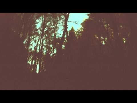 Wishing The Renaissance Video