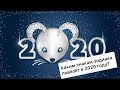 Знаки зодиака: кого осчастливит новый 2020 год? | Гороскоп удачи на год Крысы