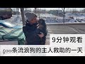 九分钟的视频，沉浸式观看照顾400条毛孩子的一天，喜忧参半     Dog  rescu in China    2024 02 18