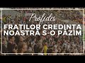 Fraților Credința noastră s-o păzim - Național Arena | Profides (Live Cover)