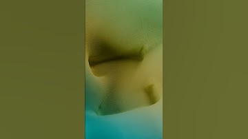 Alphabet Colors A-Z #alphabetabcd #3dtype #alphabet #learntheabcs #3danimation #alphabetatoz #abcd