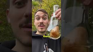 How Did This Pear Get Inside?!