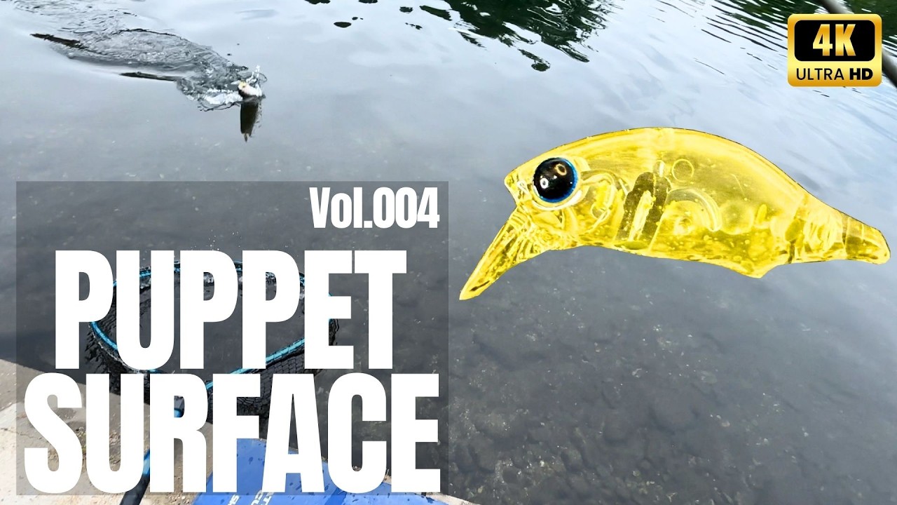 JDM Area Trout Atlas | Puppet Surface - Spring Vol.004 (パペット