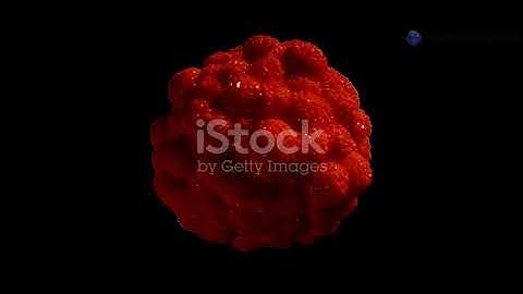 invideo ai 1080 Unlocking the Secrets of REDOX Signaling 2025 11 08 1