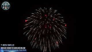 Raccoon Fireworks 1.3G Jy7 0342 7 Inch Shell