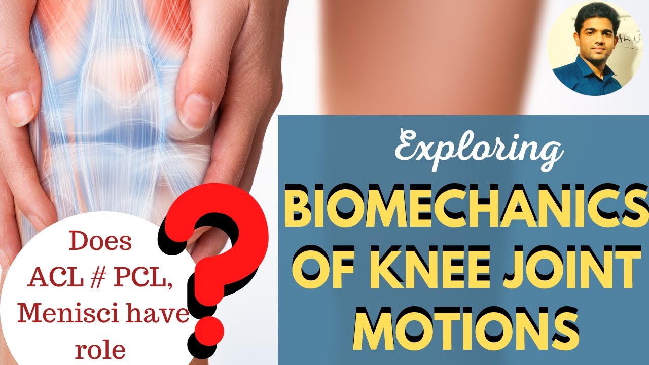 KNEE BIOMECHANICS KNEE JOINT MOTIONS JOINT KINEMATICS YouTube