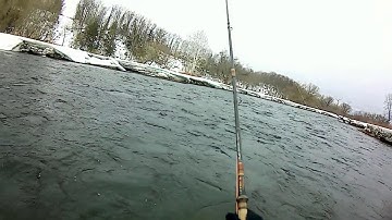 Rio Skagit Gamechanger 600gr 8/9 F/H/I