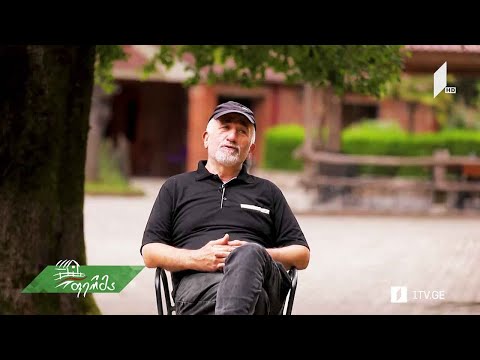 #არტიშოკი როგორ ააღორძინა უჩა ჩიქოვანმა წინაპრების დანატოვარი მამული