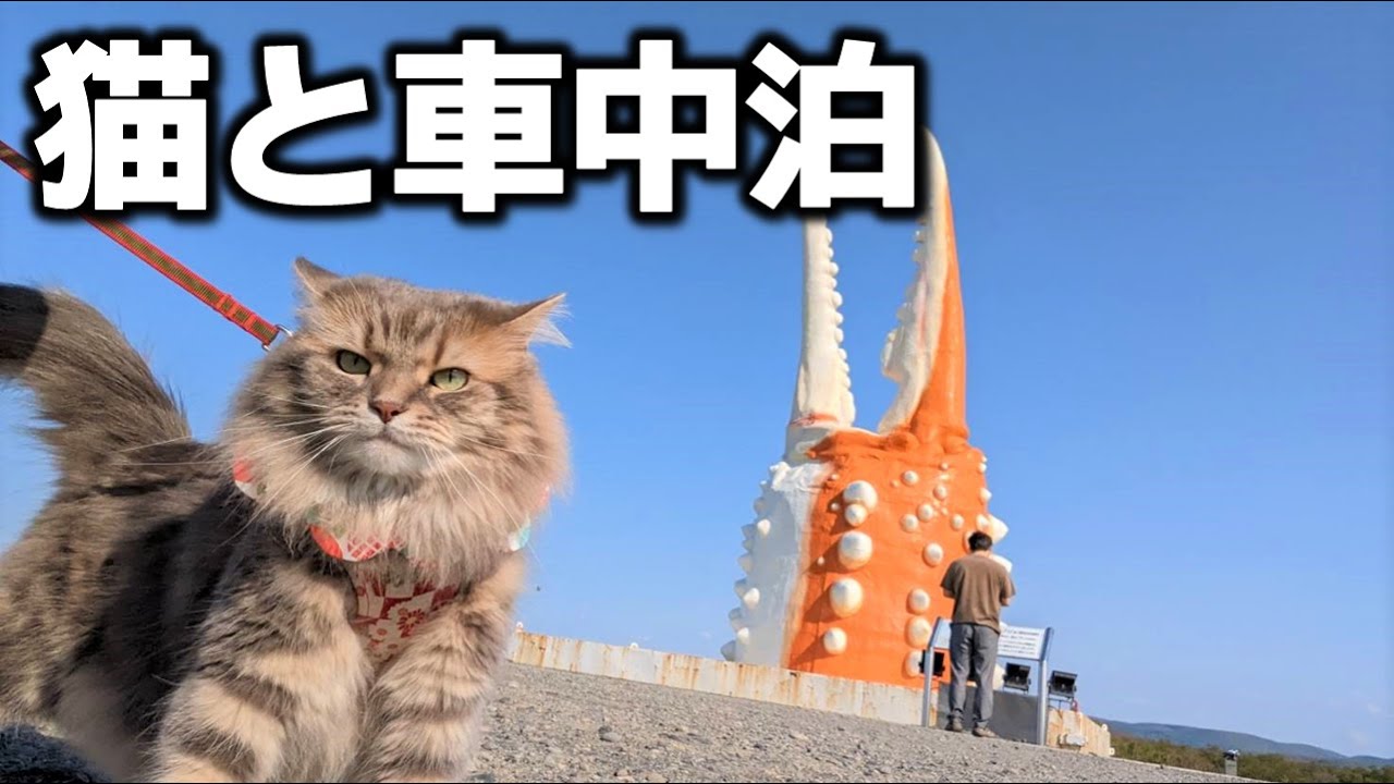 【北海道ドライブ】紋別の道の駅で車中泊！絶品ラーメンや観光スポットを巡る猫旅！