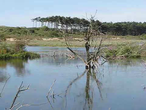 Национальный Парк Zuid Kennemerland