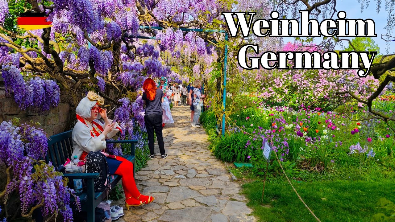 🇩🇪 Weinheim, Germany -  Springtime Stroll Through Old Town and Botanic Gardens🌷🌼