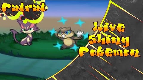 [Live] Shiny Patrat at 266 Random Encounters | White 2