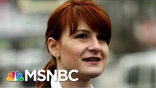 Extent Of Maria Butina's Influence On The NRA Still Being Explored | Rachel Maddow | MSNBC