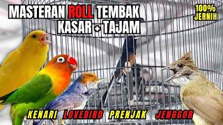 Download lagu Masteran Murai Batu R0LL Tembak Kasar Isian Cucak Jenggot, Kenari, Prenjak, Lovebird